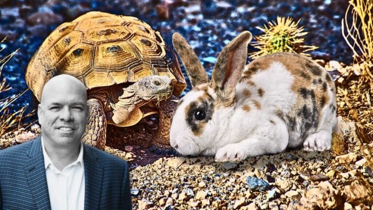 Read more about the article Want Exponential Growth? Start With These 1-Percent-A-Day Improvements