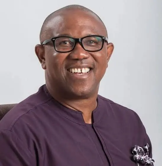 Read more about the article Peter Obi For President 2027 For A Better Nigeria