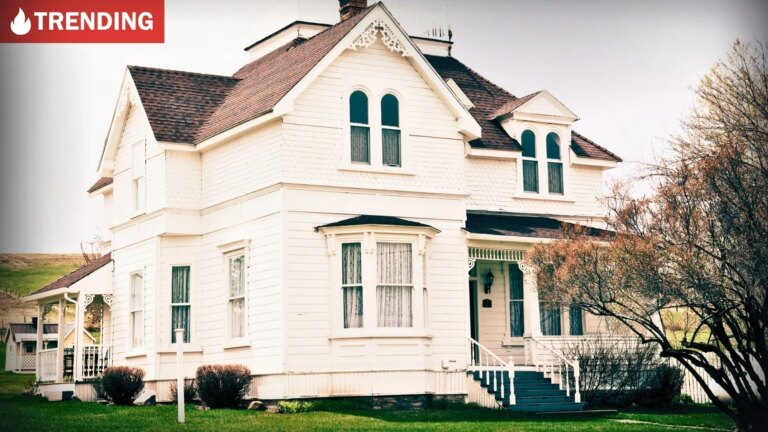 Read more about the article Hex appeal: What whimsigoth means for fall listings